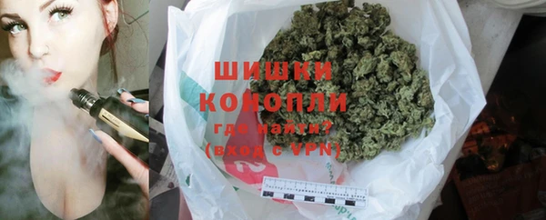 шишки Инта