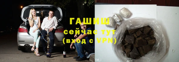 шишки Инта