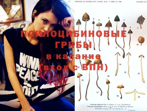 MESCALINE Инсар