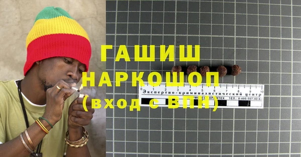 шишки Инта