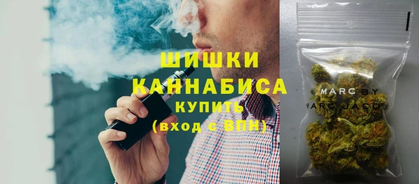 шишки Инта