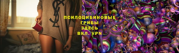 шишки Инта