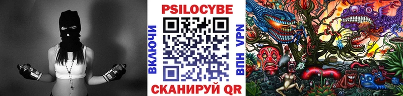 купить  сайты  Магас  Галлюциногенные грибы мицелий 