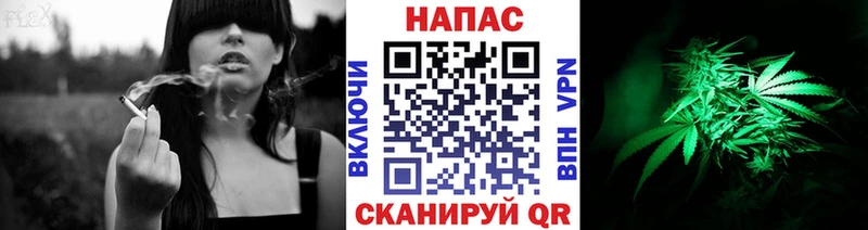 Бошки Шишки MAZAR  закладка  Магас 